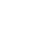 Api